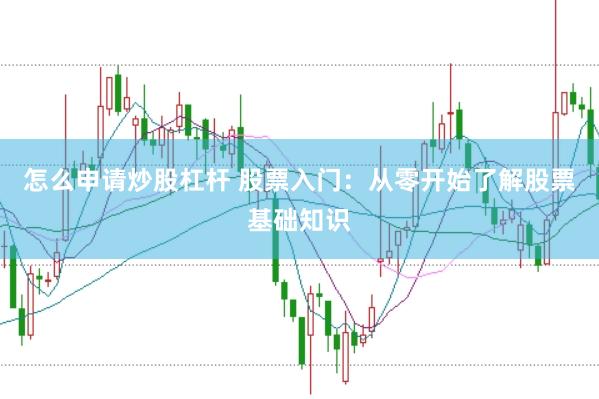 怎么申请炒股杠杆 股票入门：从零开始了解股票基础知识