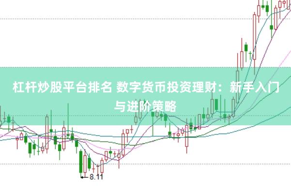 杠杆炒股平台排名 数字货币投资理财:新手入门与进阶策略