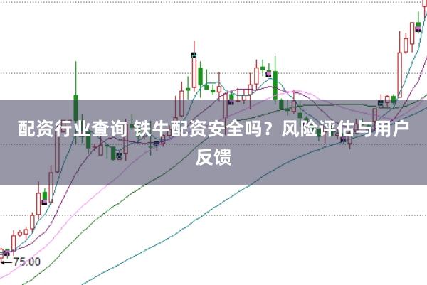 配资行业查询 铁牛配资安全吗？风险评估与用户反馈