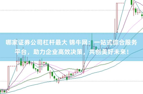 哪家证券公司杠杆最大 锦牛网：一站式综合服务平台，助力企业高效决策，共创美好未来！