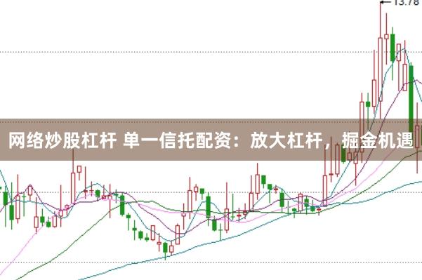 网络炒股杠杆 单一信托配资：放大杠杆，掘金机遇