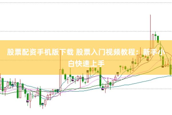股票配资手机版下载 股票入门视频教程：新手小白快速上手