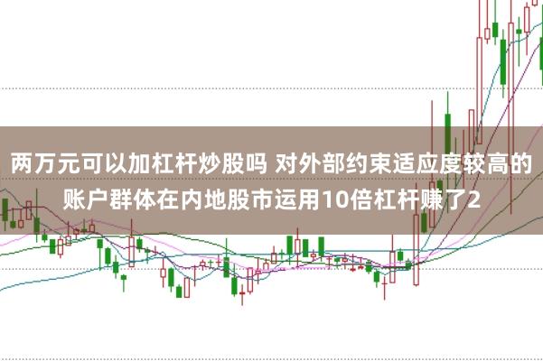 两万元可以加杠杆炒股吗 对外部约束适应度较高的账户群体在内地股市运用10倍杠杆赚了2