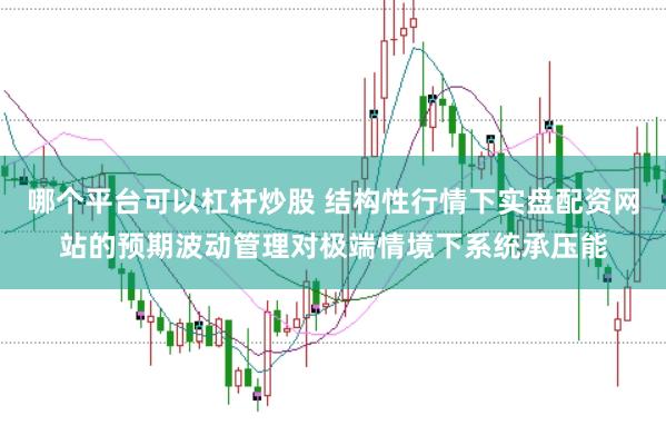 哪个平台可以杠杆炒股 结构性行情下实盘配资网站的预期波动管理对极端情境下系统承压能