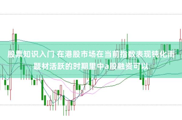 股票知识入门 在港股市场在当前指数表现钝化而题材活跃的时期里中a股融资可以
