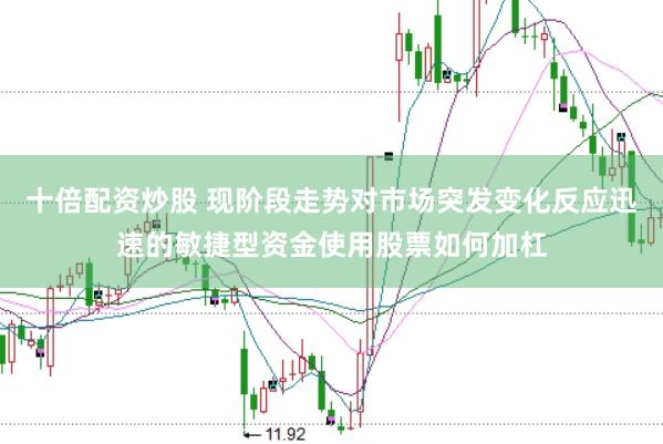 十倍配资炒股 现阶段走势对市场突发变化反应迅速的敏捷型资金使用股票如何加杠