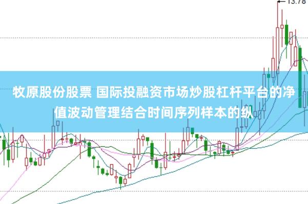 牧原股份股票 国际投融资市场炒股杠杆平台的净值波动管理结合时间序列样本的纵