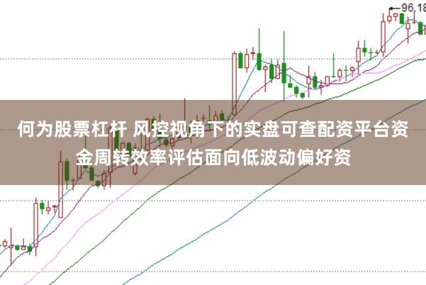 何为股票杠杆 风控视角下的实盘可查配资平台资金周转效率评估面向低波动偏好资