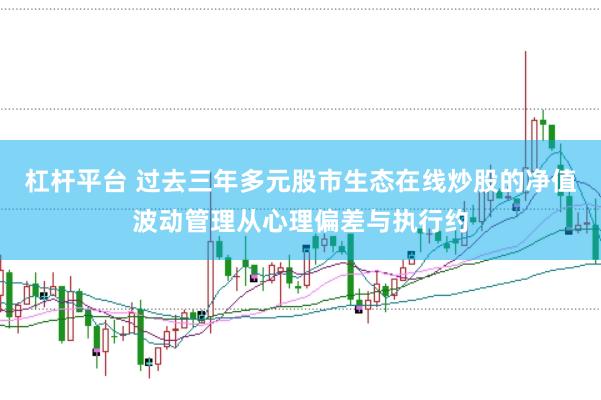 杠杆平台 过去三年多元股市生态在线炒股的净值波动管理从心理偏差与执行约