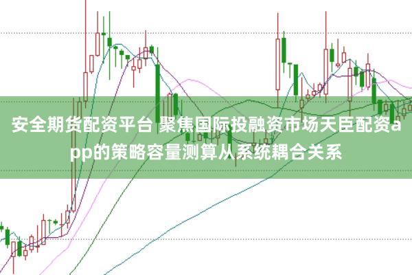 安全期货配资平台 聚焦国际投融资市场天臣配资app的策略容量测算从系统耦合关系