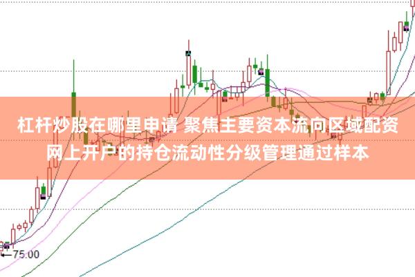 杠杆炒股在哪里申请 聚焦主要资本流向区域配资网上开户的持仓流动性分级管理通过样本