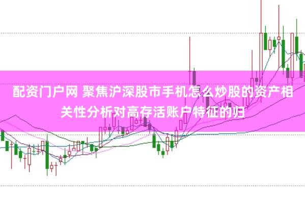 配资门户网 聚焦沪深股市手机怎么炒股的资产相关性分析对高存活账户特征的归