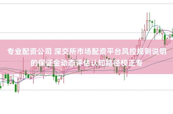 专业配资公司 深交所市场配资平台风控规则说明的保证金动态评估认知路径校正专
