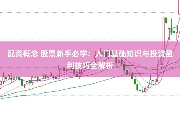 配资概念 股票新手必学：入门基础知识与投资盈利技巧全解析