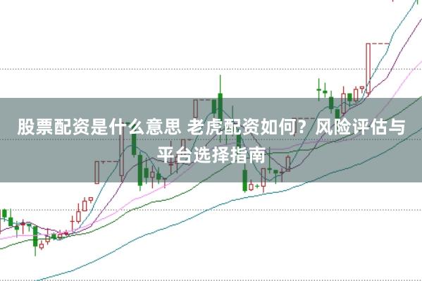 股票配资是什么意思 老虎配资如何？风险评估与平台选择指南