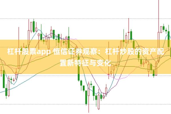 杠杆股票app 恒信证券观察：杠杆炒股的资产配置新特征与变化