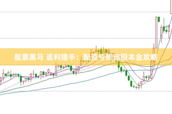 股票黑马 返利猎手：配资亏损追回本金攻略