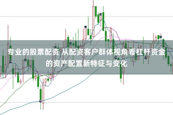 专业的股票配资 从配资客户群体视角看杠杆资金的资产配置新特征与变化