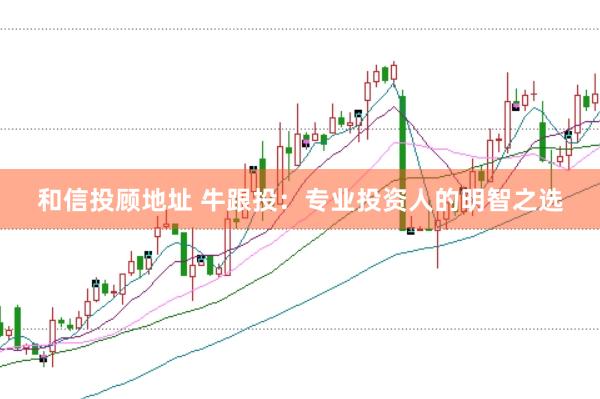 和信投顾地址 牛跟投：专业投资人的明智之选