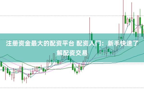 注册资金最大的配资平台 配资入门：新手快速了解配资交易