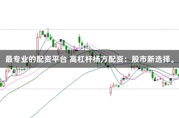 最专业的配资平台 高杠杆杨方配资：股市新选择。