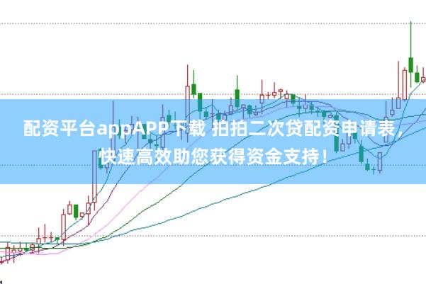 配资平台appAPP下载 拍拍二次贷配资申请表，快速高效助您获得资金支持！