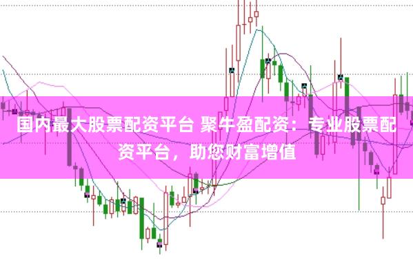 国内最大股票配资平台 聚牛盈配资:专业股票配资平台,助您财富增值