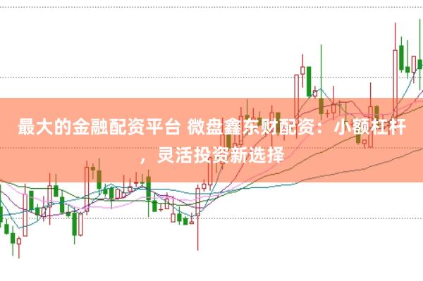 最大的金融配资平台 微盘鑫东财配资:小额杠杆,灵活投资新选择